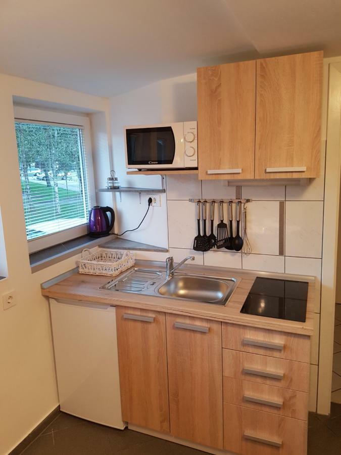 4 Seasons Apartment Radovljica Luaran gambar